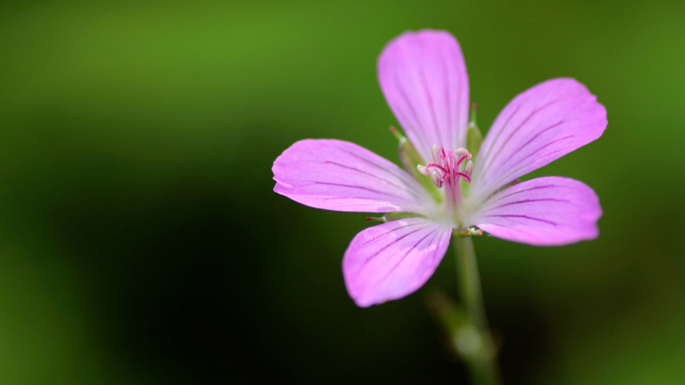 286359_130765720346313_1000