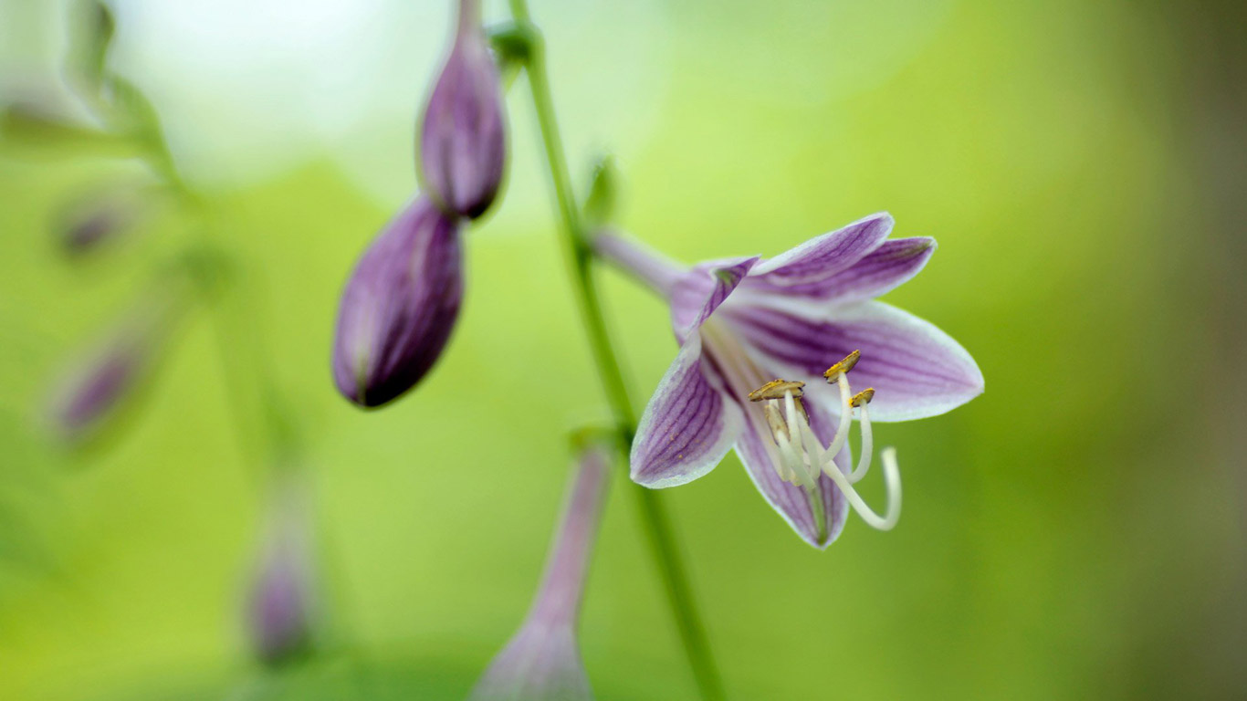 286749_130765703679648_1000