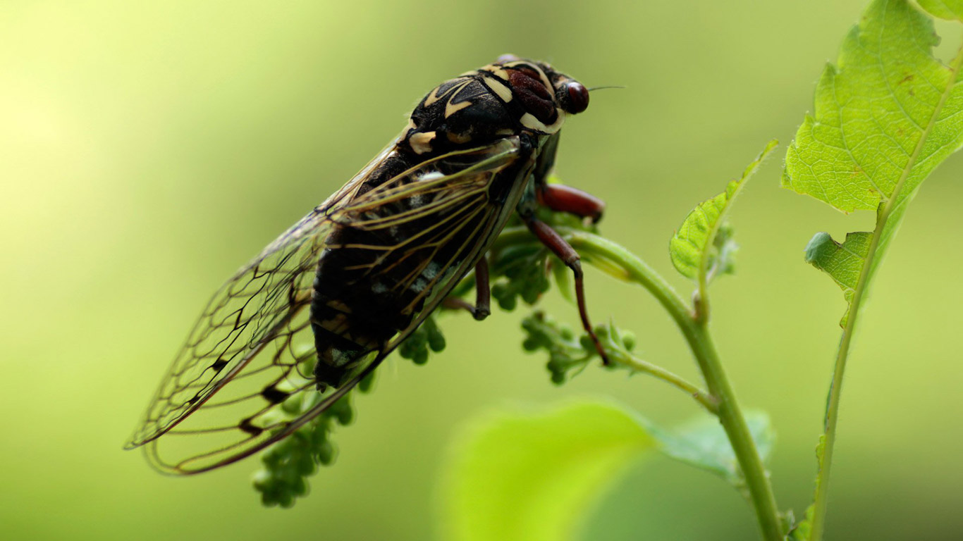 288354_130765743679644_1000